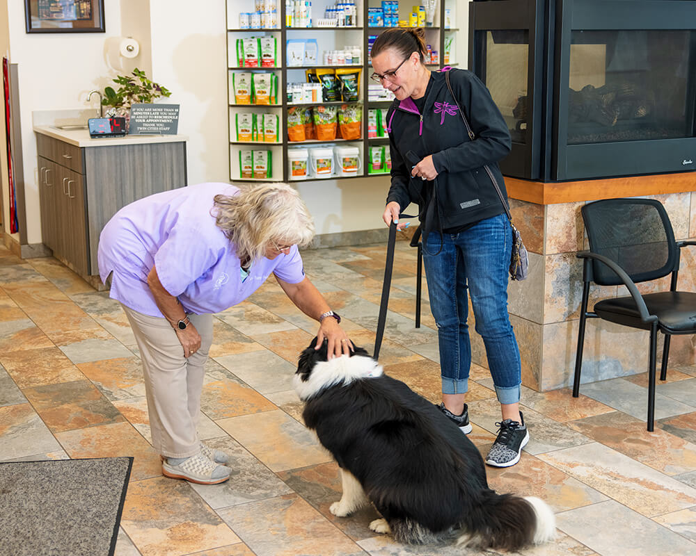 Veterinary team member working with a dog during a visit at Twin Cities Veterinary Clinic