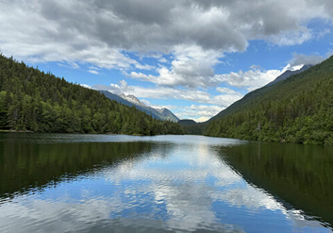 twin-cities-veterinary-clinic-alaska-river-mountains Mountain lake and forest scenery showcasing the natural beauty of Alaska near Soldotna
