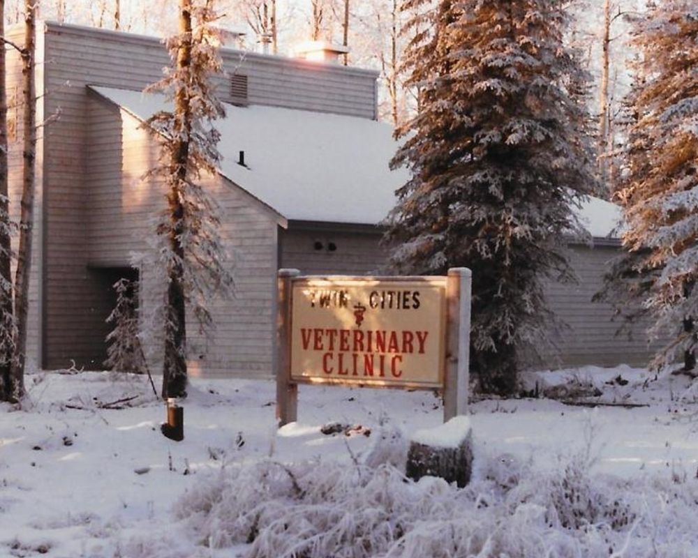 A building with a sign that reads "Twin Cities Veterinary Clinic" is surrounded by snow covered trees and landscape.