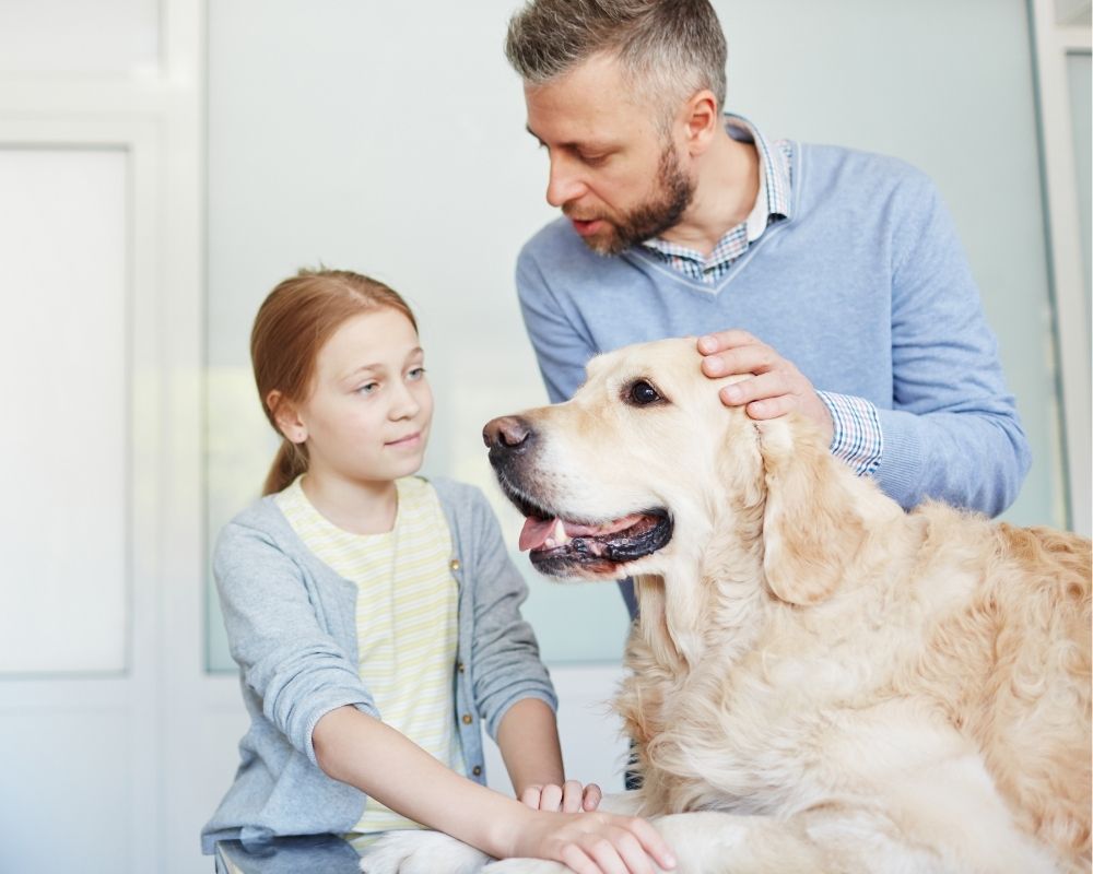 care-for-sick-pet A person and a child petting a golden retriever dog