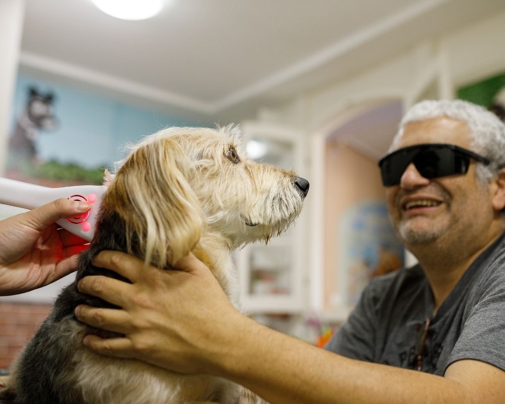 health-checkup-of-fluffy-dog A smiling man wearing sunglasses gently holds a small, fluffy dog being scanned by a vet