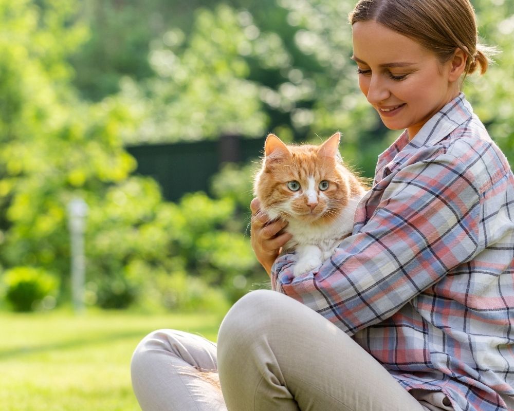 orange-white-cat A woman sits on the grass, gently holding a cat in her lap