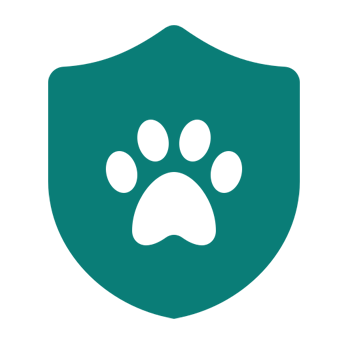 pet-insurance pet insurance