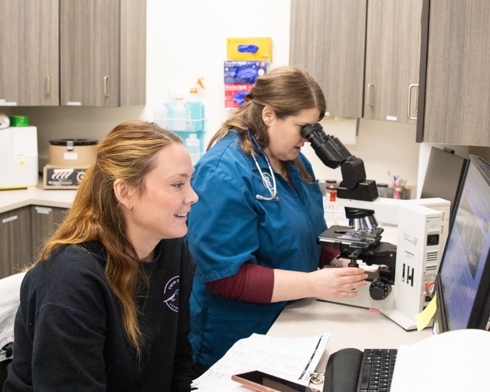 two-woman-working-on-lab Two women work in a lab