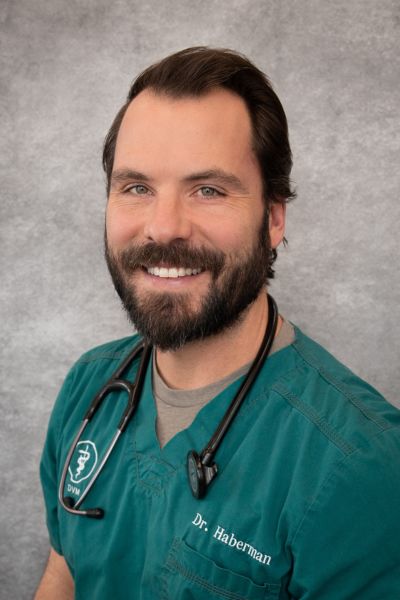 Michael-Haberman Dr. Michael Haberman, DVM