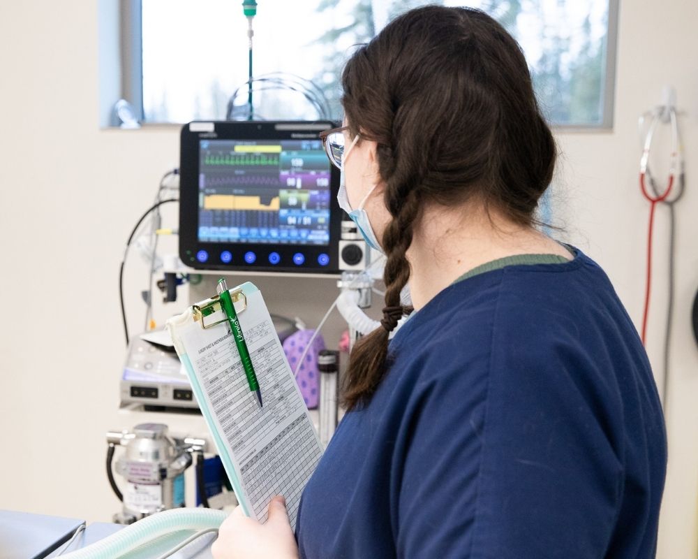 A person in blue scrubs holds a clipboard and pen while looking at a medical monitor displaying vital signs.