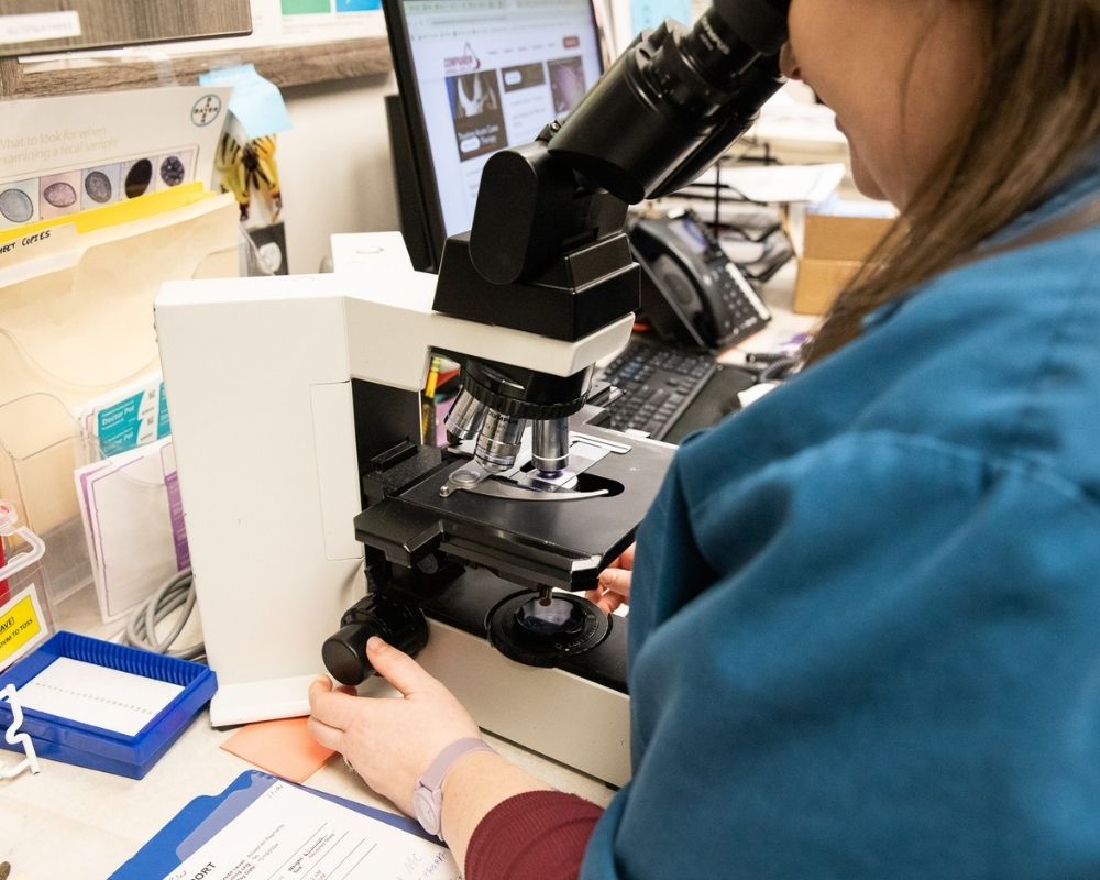 A person in a teal lab coat peers through a microscope in a laboratory setting