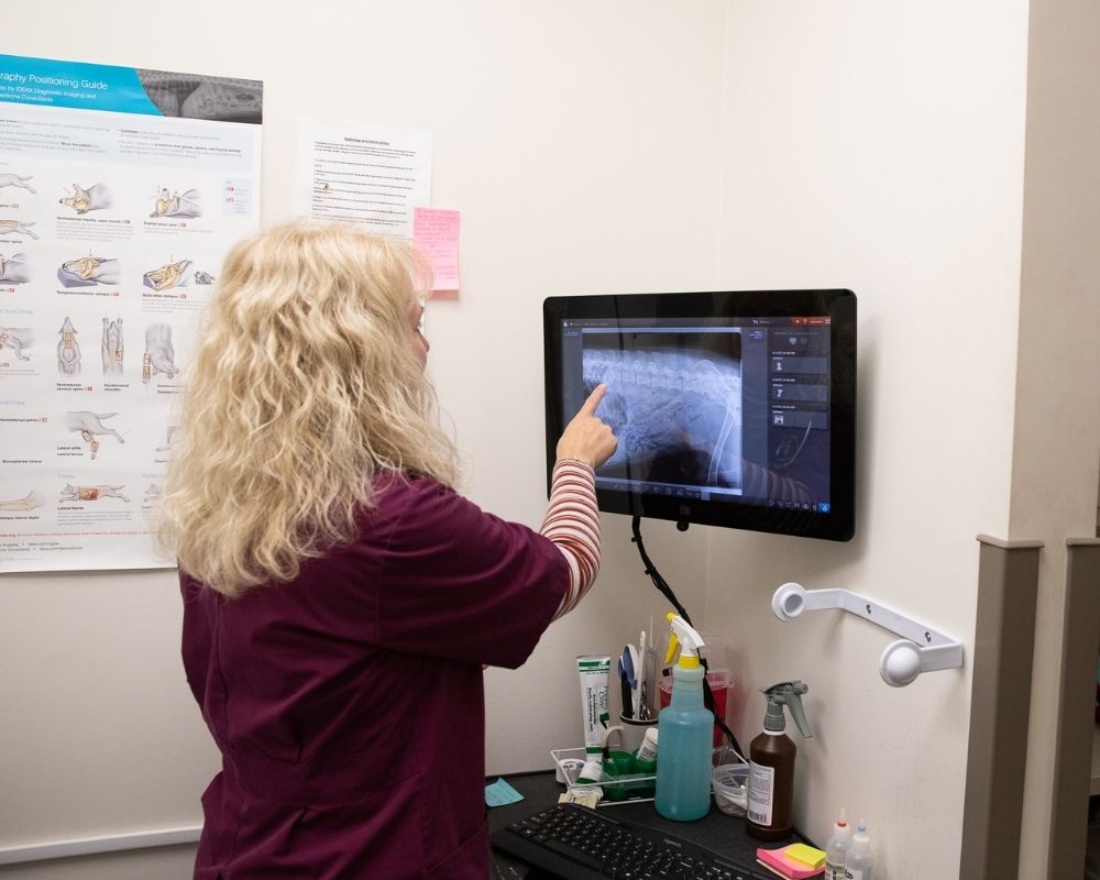 A person in a maroon scrub top points at an X-ray displayed on a computer monitor