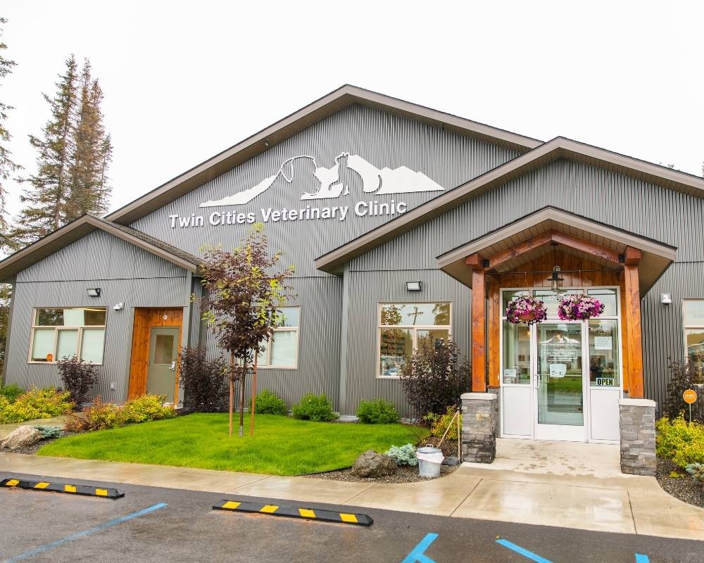Exterior view of Twin Cities Veterinary Clinic building
