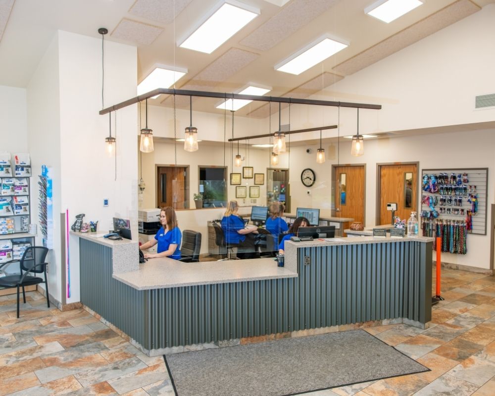 Image 2 A veterinary clinic reception area with staff at the counter and shelves of pet food and supplies.